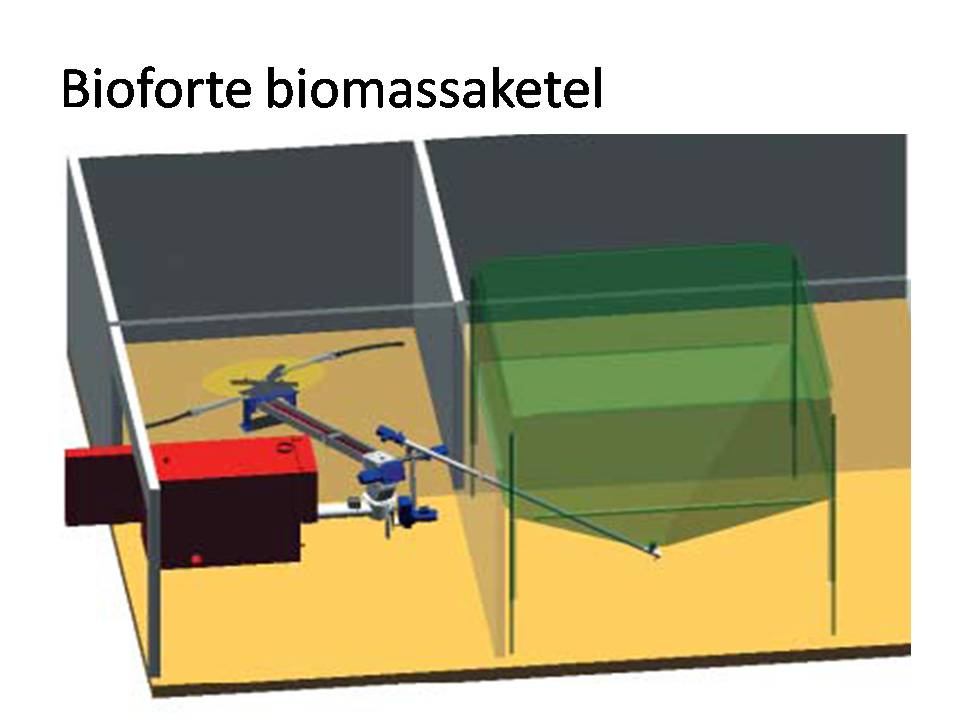 Bioforte biomassaketel